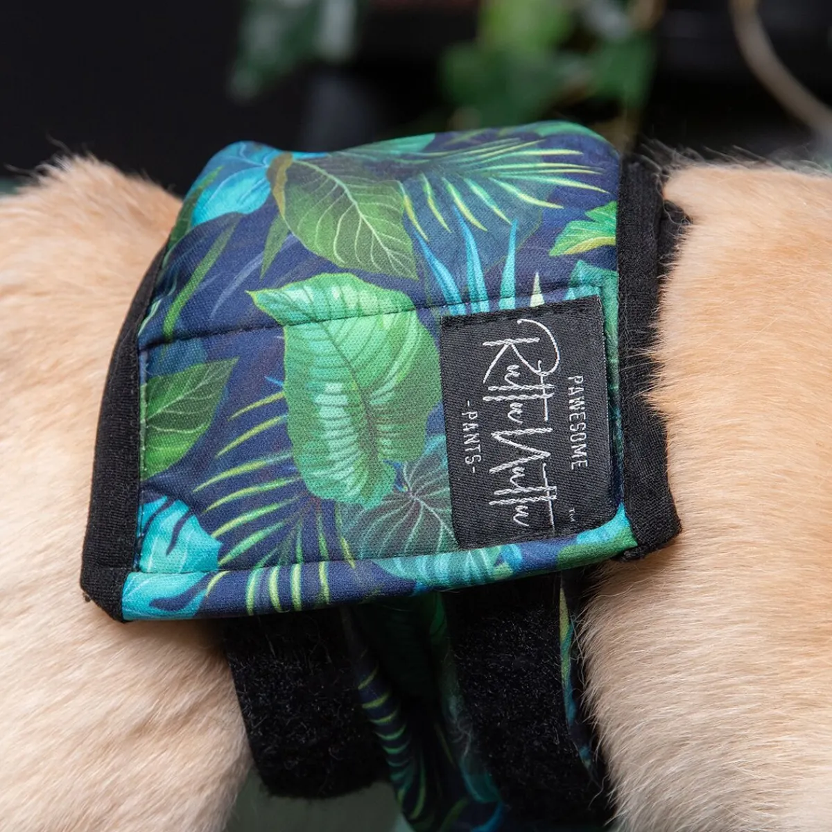 urosvyö, Jungle monstera>RuttuNuttu Online