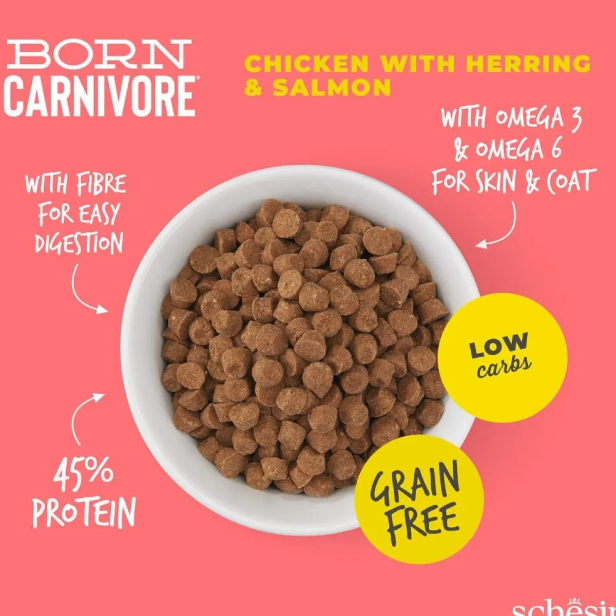 Born Carnivore kana & silli>Schesir Outlet