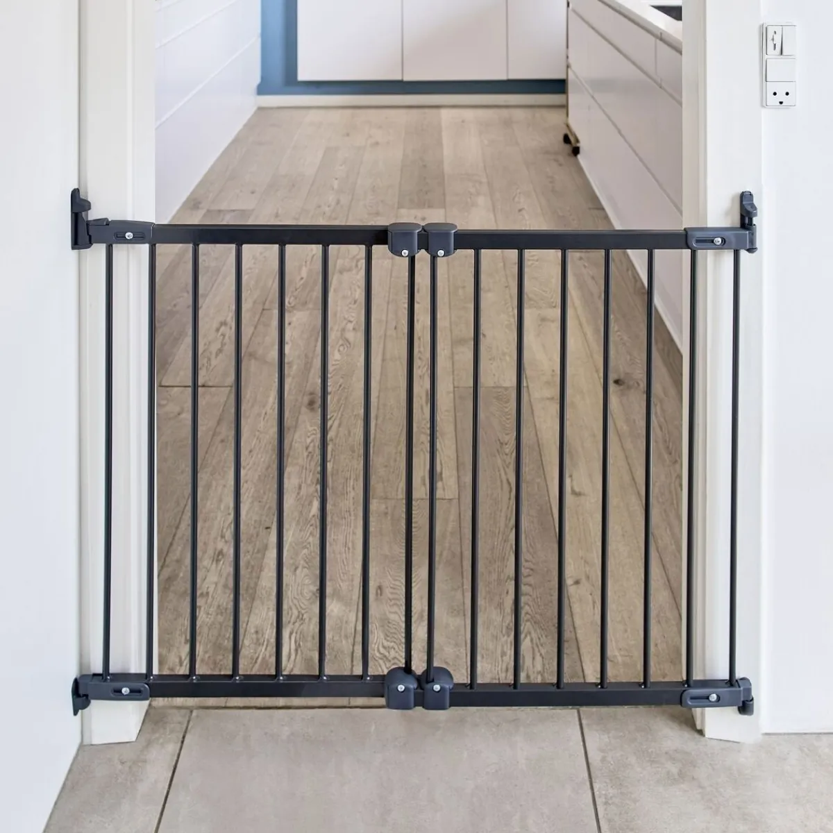 Säädettävä koiraportti Molly 67-105 cm>DogSpace Sale