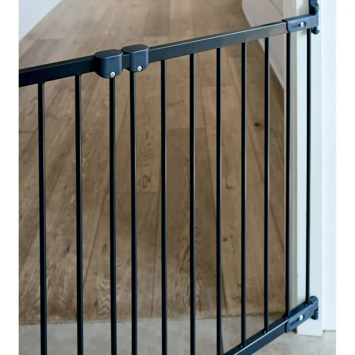 Säädettävä koiraportti Molly 67-105 cm>DogSpace Sale