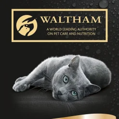 Creamy Snack Lohi 4x12g>Sheba Discount