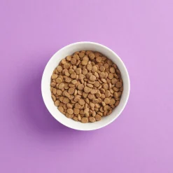 steriloidun kissan ruoka>Smaak Hot