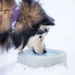 -lämmitetty koiran vesikuppi>Sulavesi New