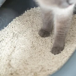 Tofu kissanhiekka paakkuuntuva>Trixie New