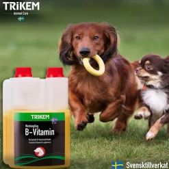 WorkingDog B-vitamiini koiralle>Trikem Discount