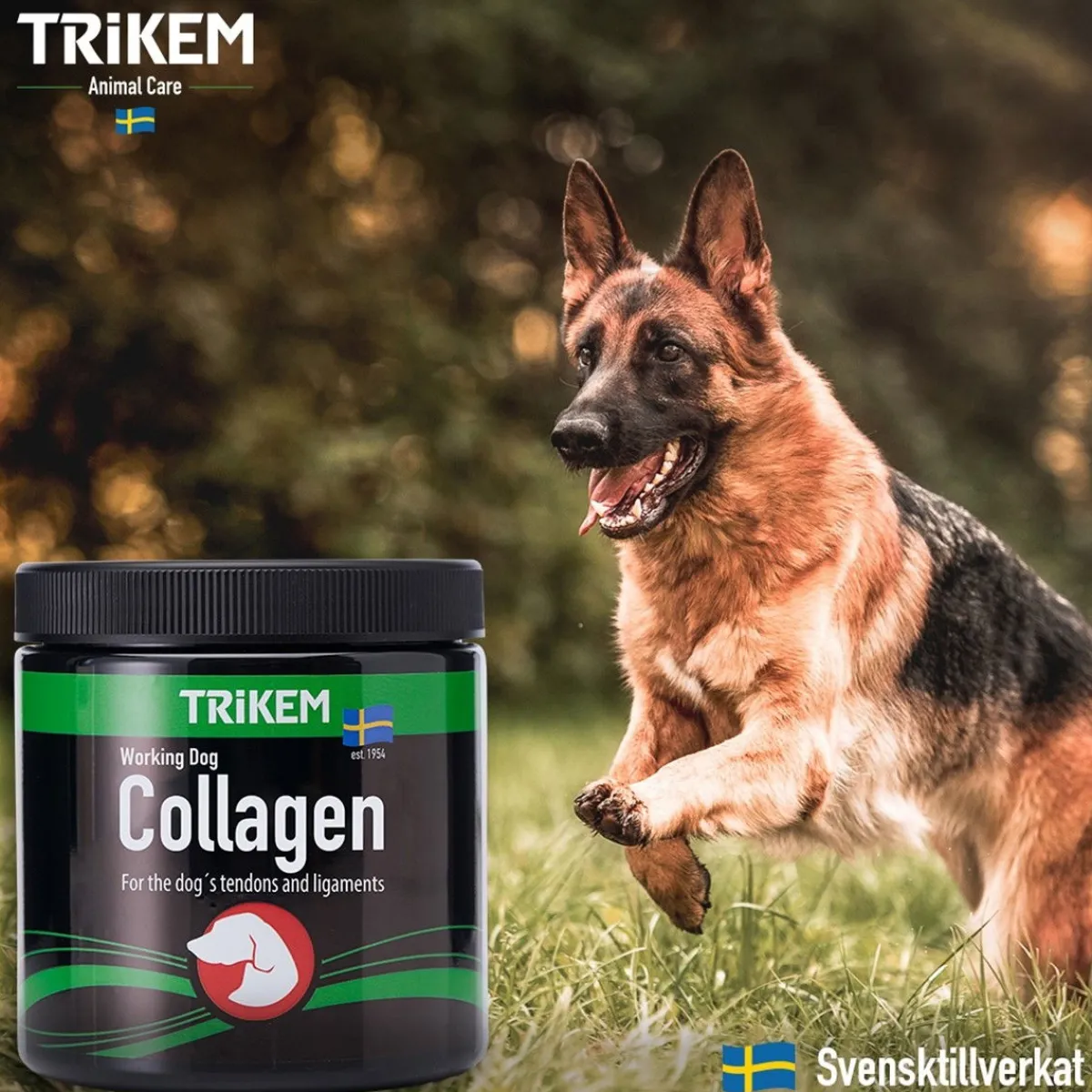 WorkingDog Collagen>Trikem Hot