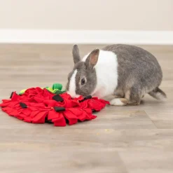 Aktivointimatto pieneläimille, mansikka>Trixie Online