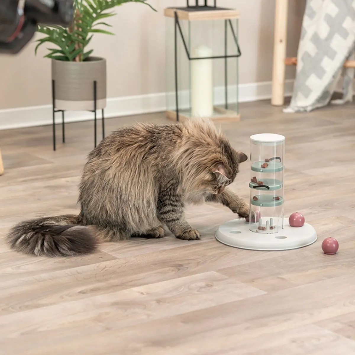 Cat Activity Gambling Tower>Trixie Hot