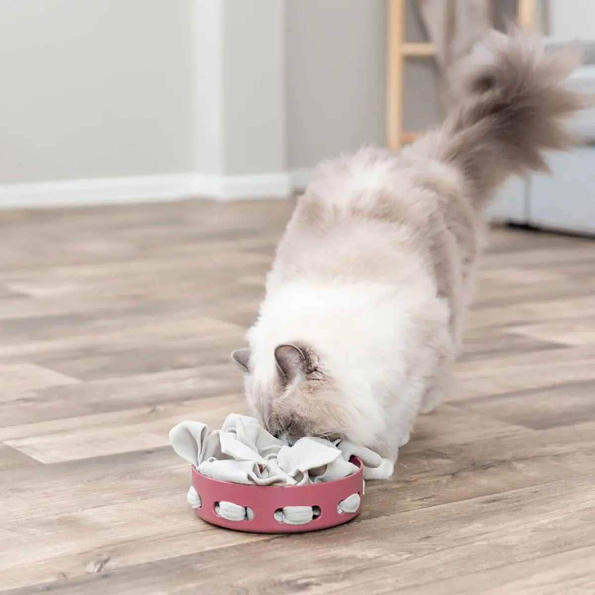 Cat Activity Hide'n'Sniff Bowl>Trixie Clearance