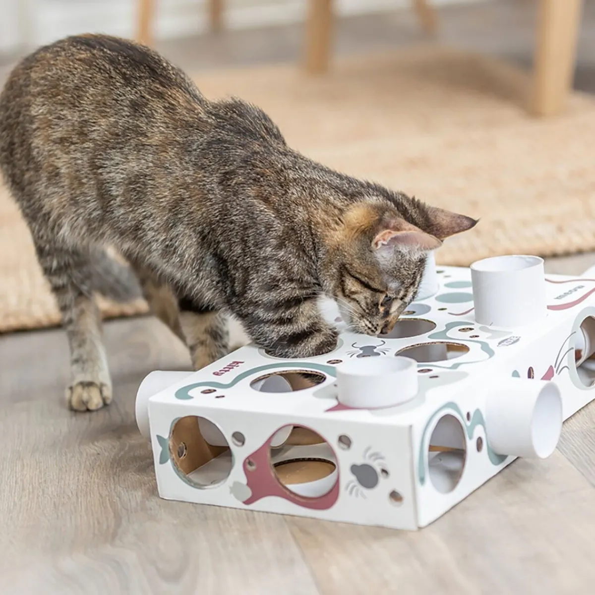 Cat Activity Paws'n'Treats Box>Trixie Best
