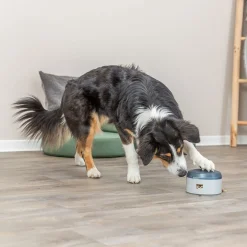 Dog Activity Buzzer>Trixie Online