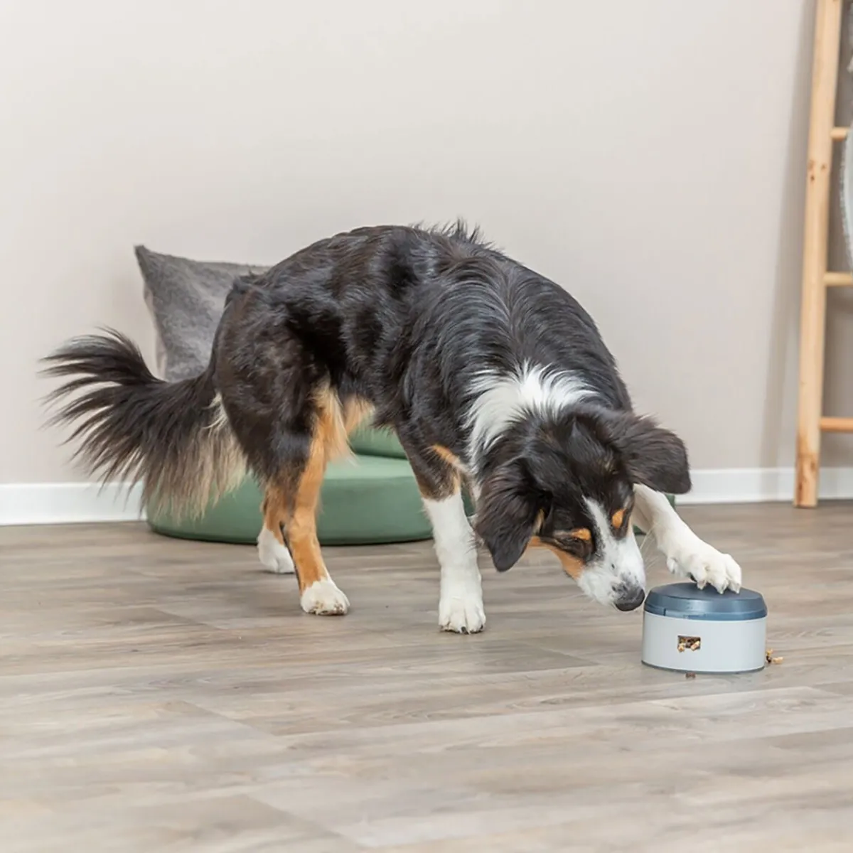 Dog Activity Buzzer>Trixie Online