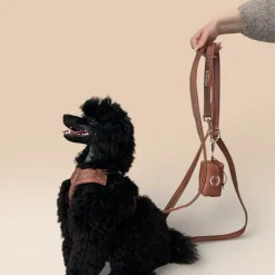-kakkapussikotelo, beige>Trufois Sale