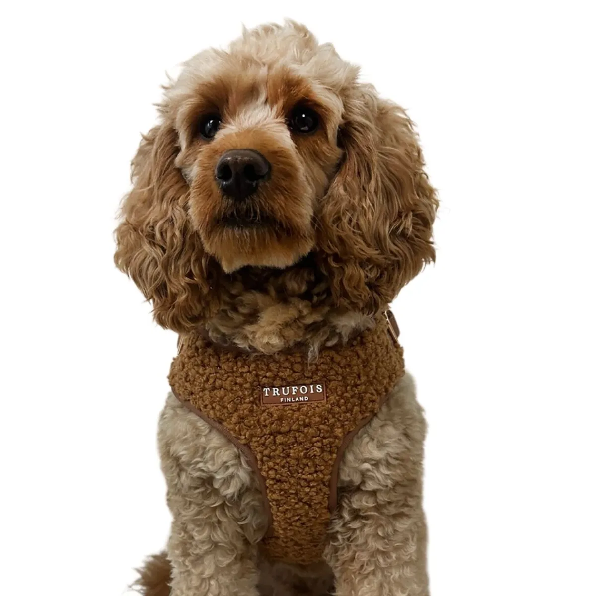 Lite -valjaat koiralle, chocholate brown>Trufois Outlet
