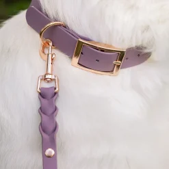 Classy panta, mauve/ruusukulta>Tyylivoitto New