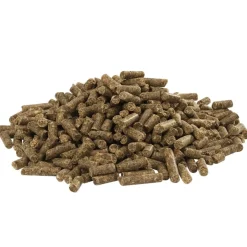Cuni Fit Pure>Versele-Laga Sale