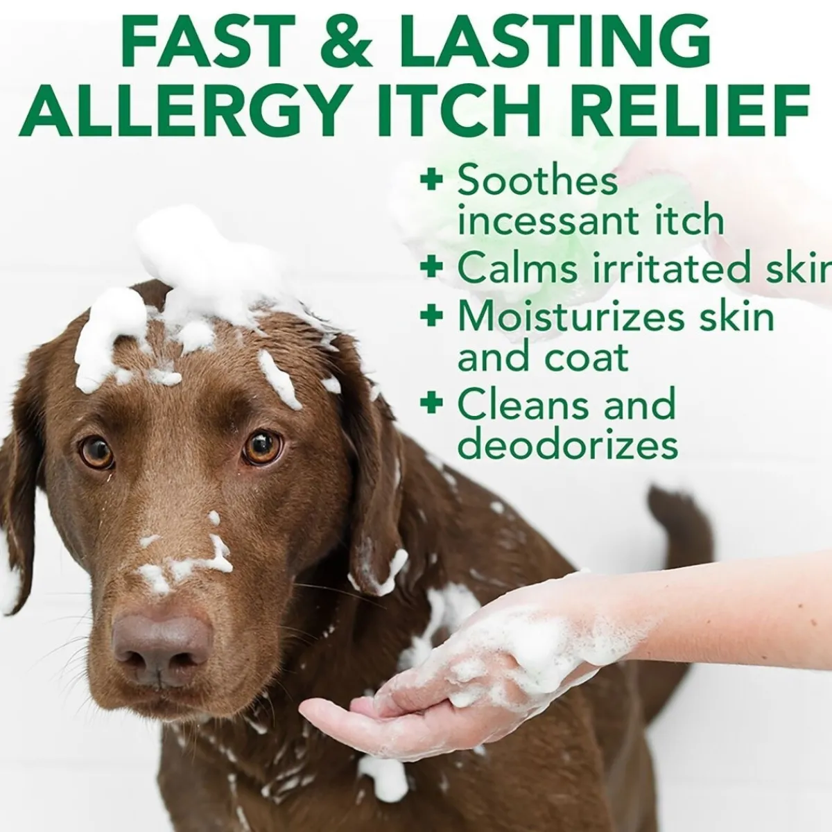 Allergy itch Shampoo 500 ml>Vet's Best Discount