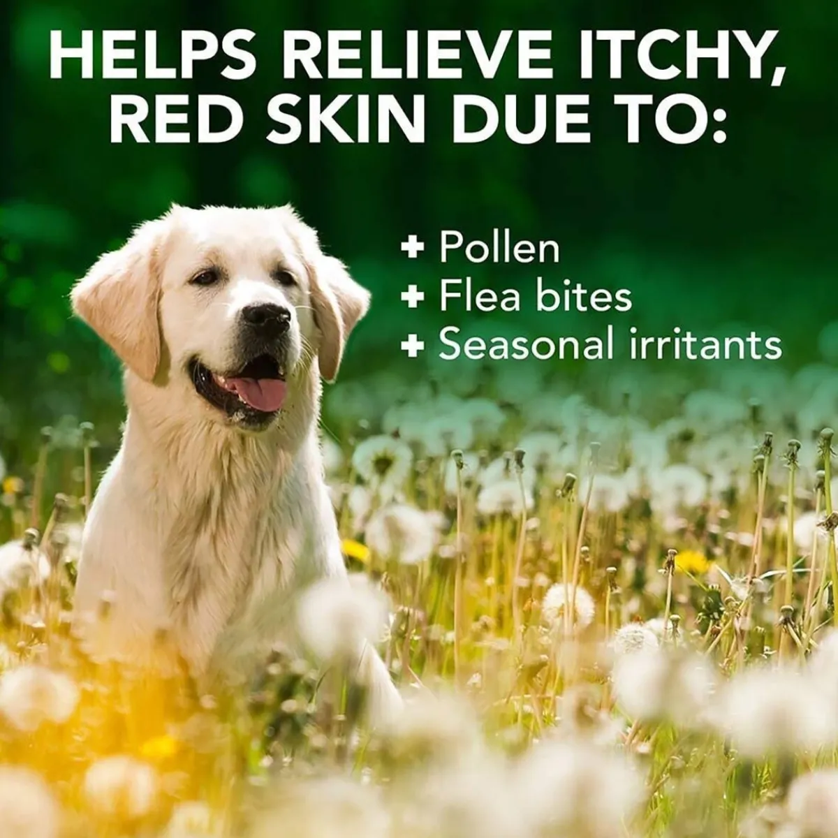 Allergy itch spray 250ml>Vet's Best Hot