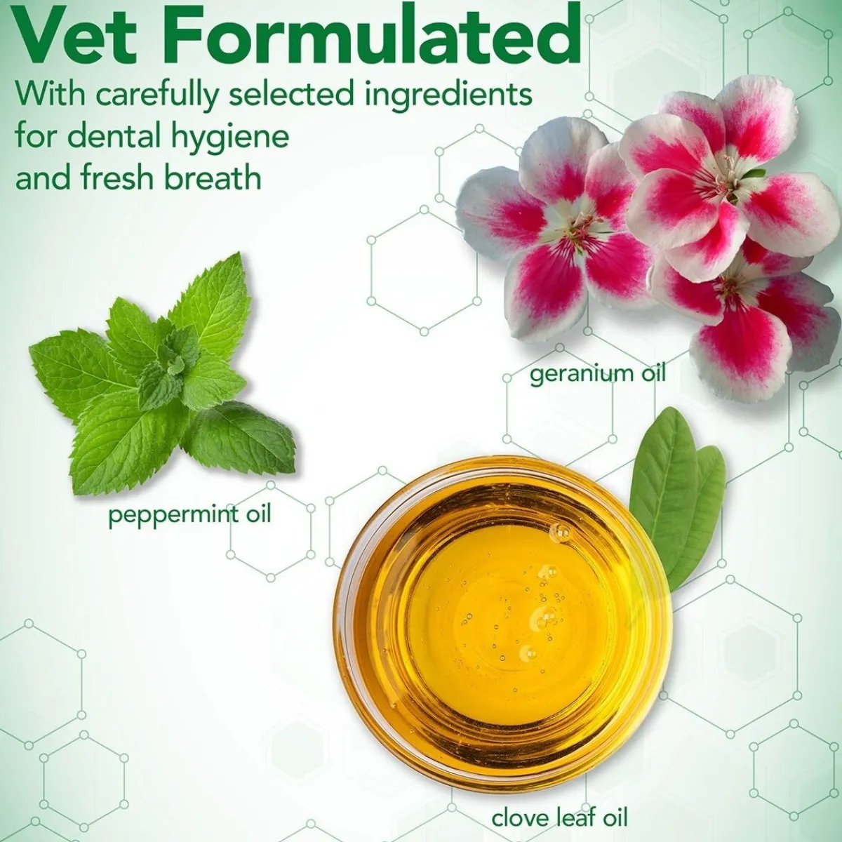 Dental Breath Fresh 500ml>Vet's Best Online