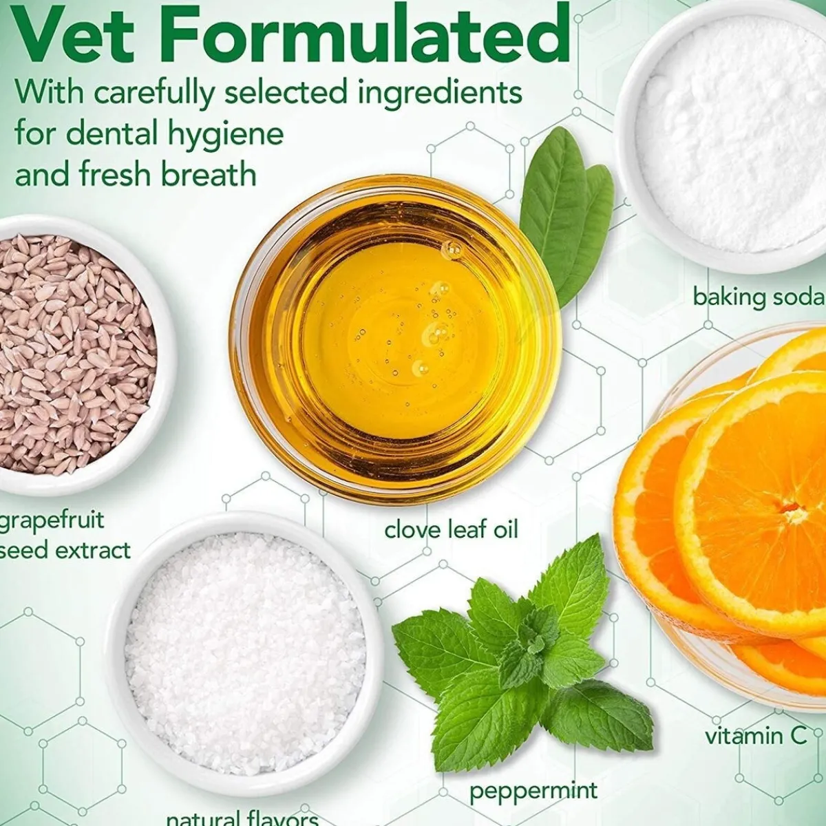 Dog Dental Care Kit>Vet's Best Hot