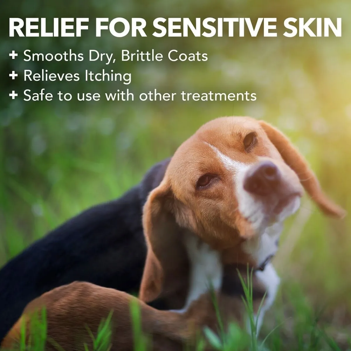 Hypo-Allergenic Shampoo 500 ml>Vet's Best Hot