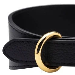 Vinttikoirapanta , musta>Collar of Sweden