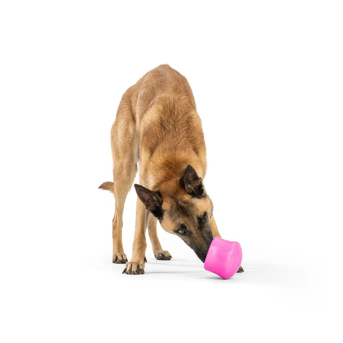 Toppl Limited Edition aktivointilelu, pinkki>West Paw Hot