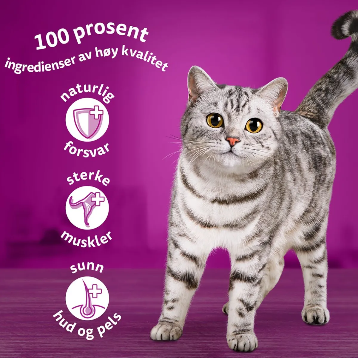Classic meals in jelly 60x85g>Whiskas Discount