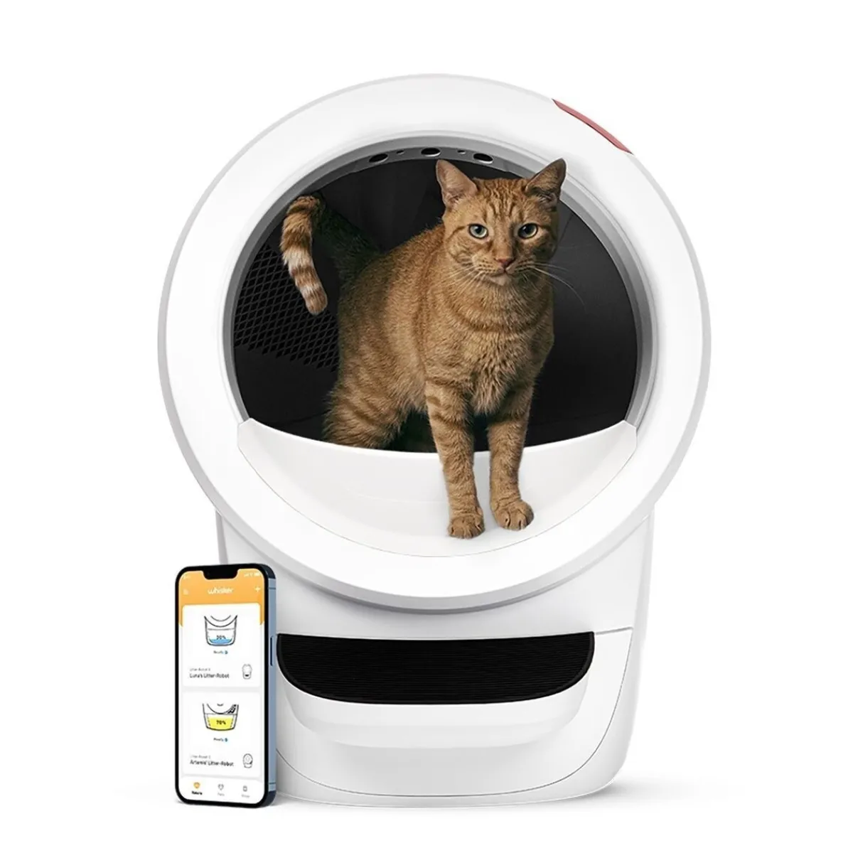Litter-Robot 4, valkoinen>Whisker Sale