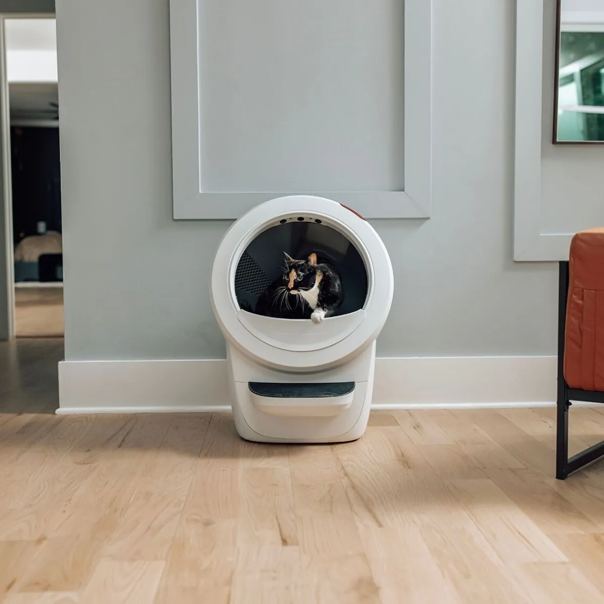 Litter-Robot 4, valkoinen>Whisker Sale