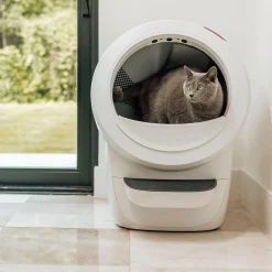Litter-Robot 4, valkoinen>Whisker Sale