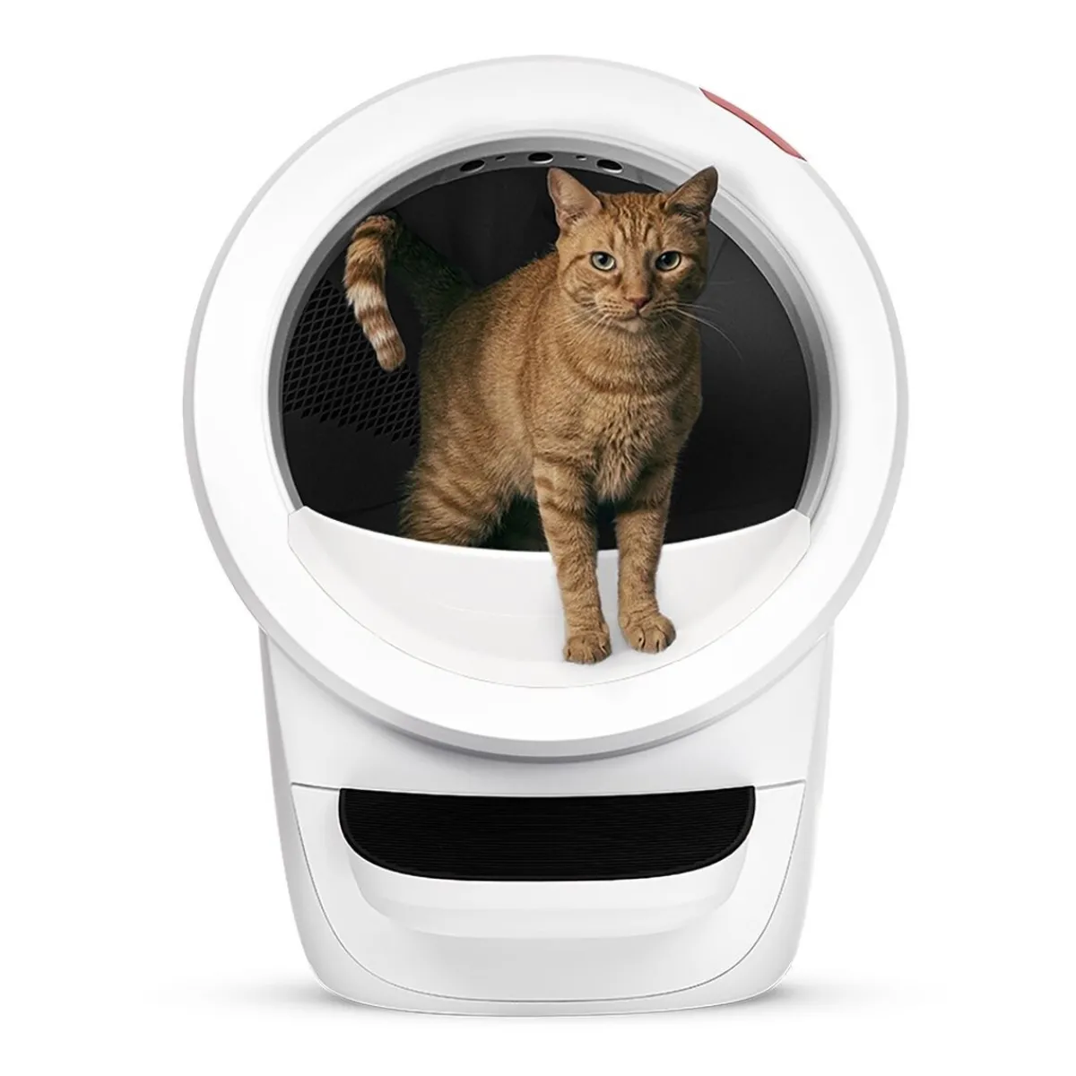 Litter-Robot 4, valkoinen>Whisker Sale