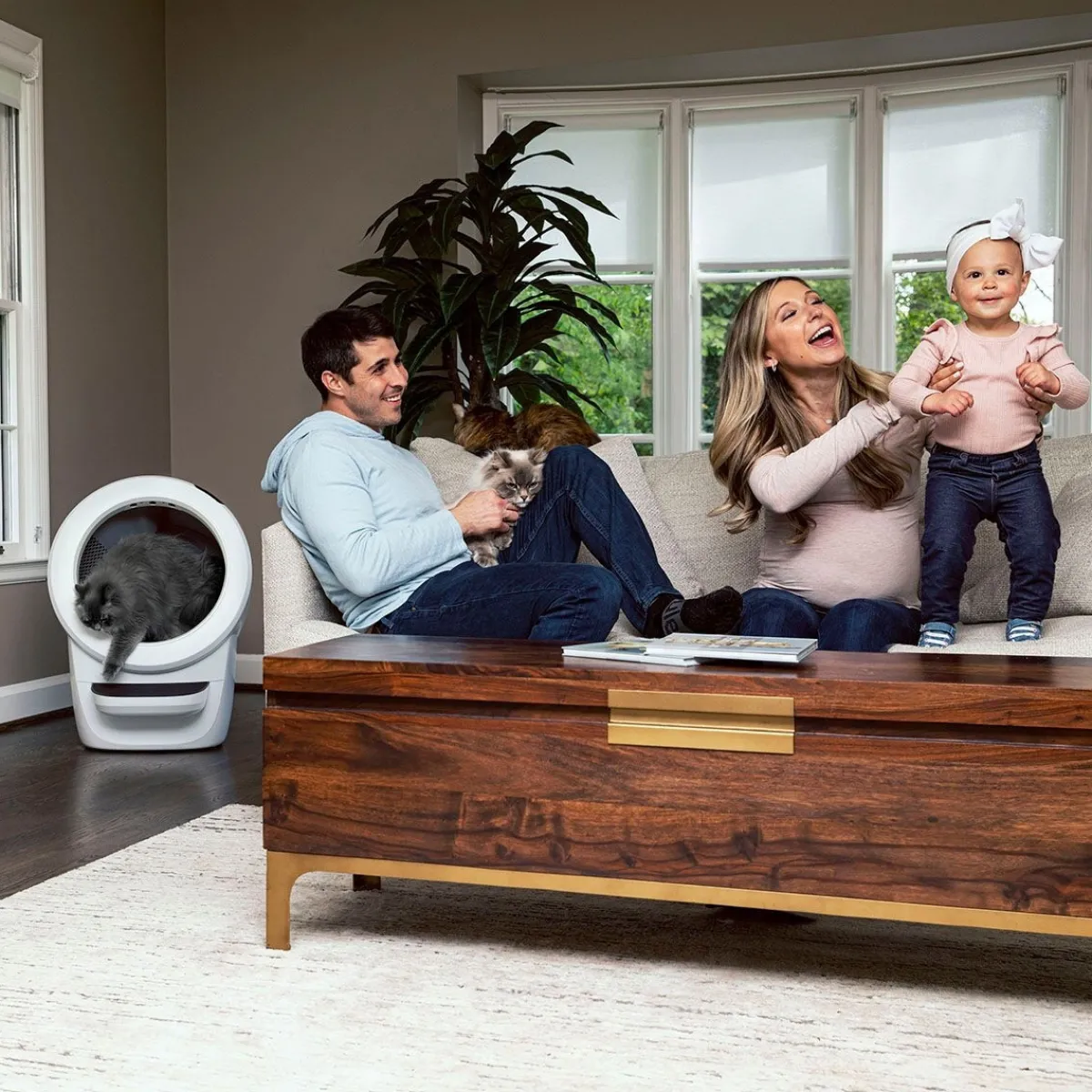 Litter-Robot 4, valkoinen>Whisker Sale