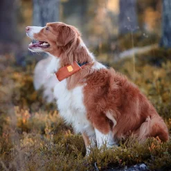 Alpha 360 panta, Terracotta Mix>Woolly Wolf Best