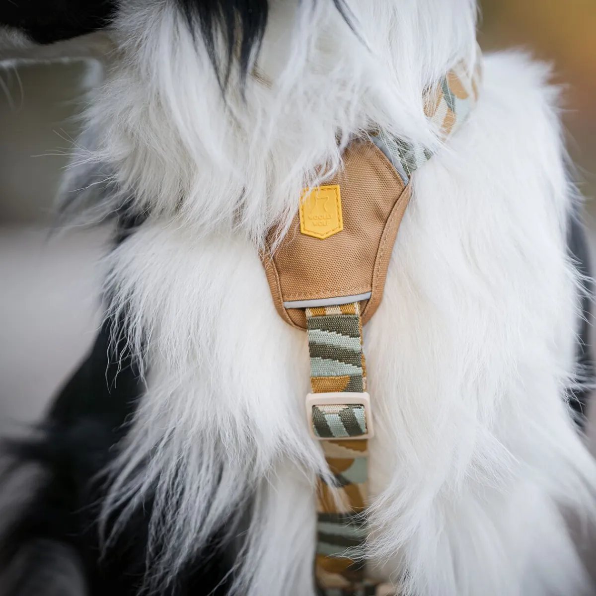 Cloudbeam -valjas>Woolly Wolf Online