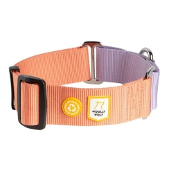 Color Block martingaalipanta, Salmon Pink Mix>Woolly Wolf Outlet