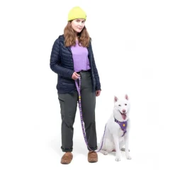 Northern Lights hihna>Woolly Wolf Sale