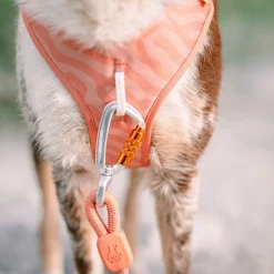Roam valjaat, Salmon Pink Ripple>Woolly Wolf Discount