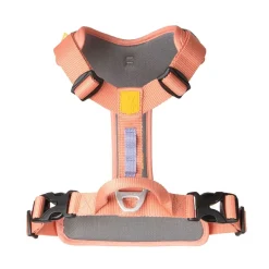 Roam valjaat, Salmon Pink Ripple>Woolly Wolf Discount