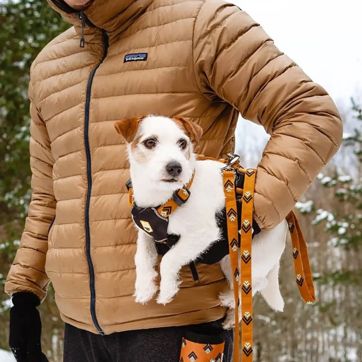 Sea to Summit hihna>Woolly Wolf Hot